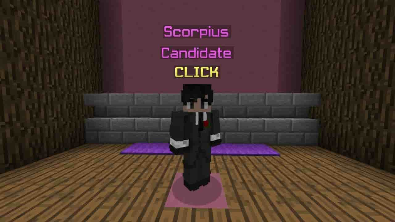 image of a skyblock mayor